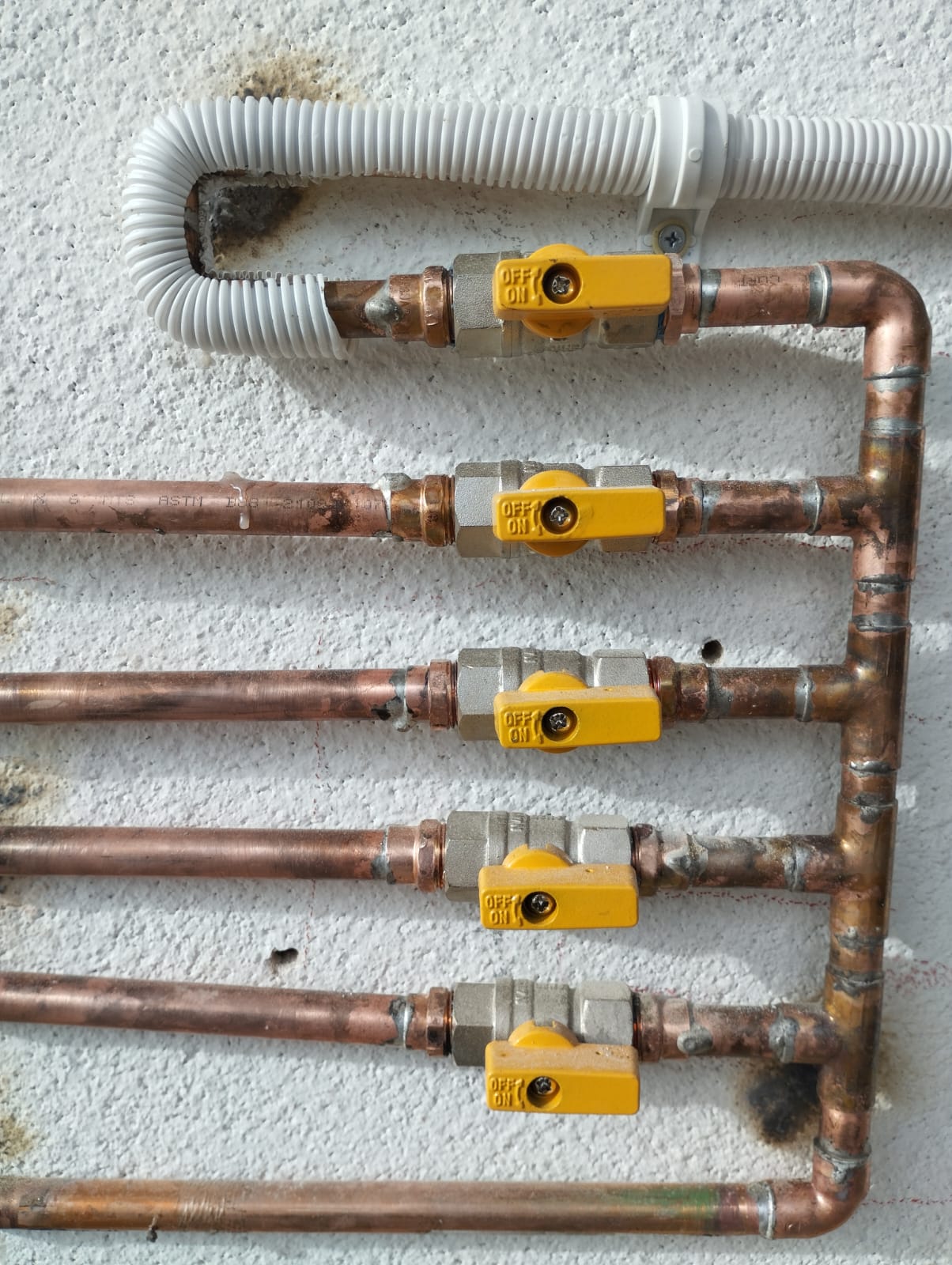 WhatsApp Image 2026 02 07 at 6.35.06 PM